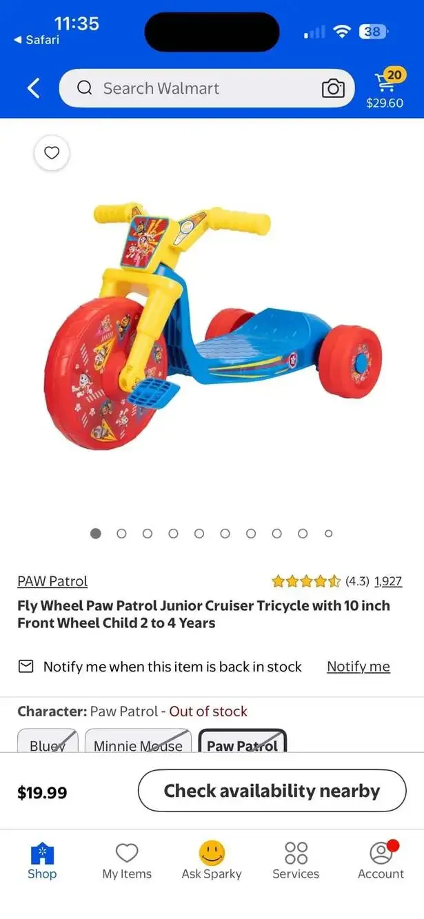 Jakks Pacific Paw Patrol The Movie Junior Cruiser 10-inch Fly Wheel Tricycle